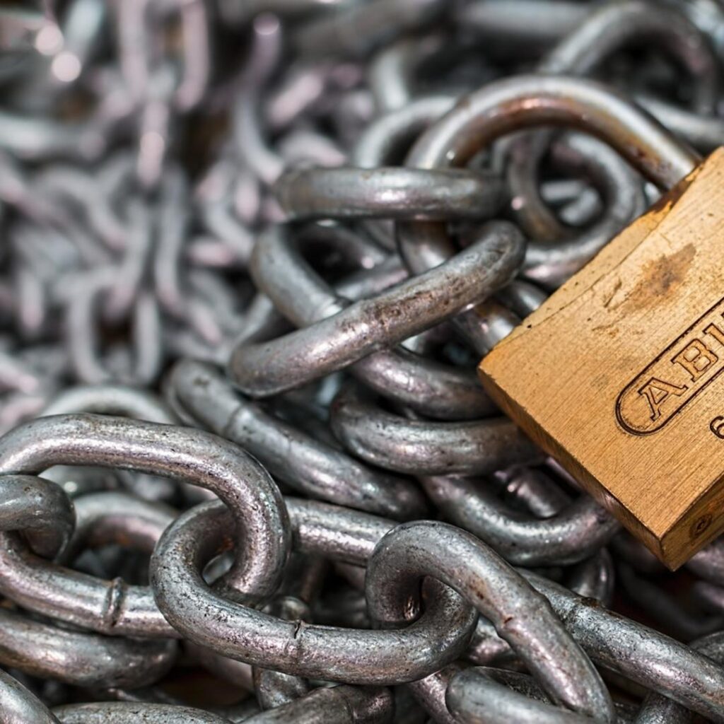 Interaktive Tools als SEO-Booster: Wie Online-Kalkulatoren & Konfiguratoren das Ranking verbessern