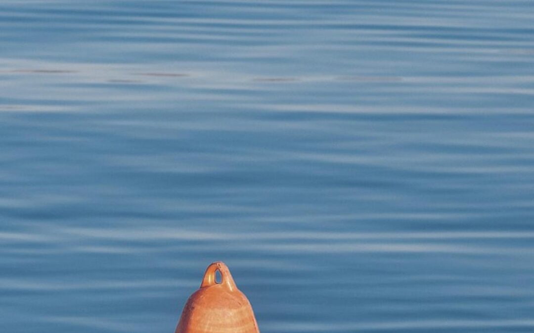 Die Macht von Hashtags: Wie Sie Reichweite erhöhen