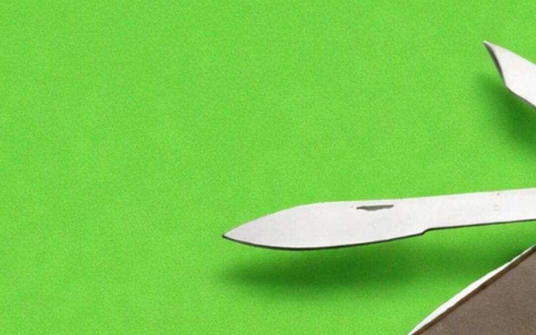 Online-Ads: Vielseitig wie ein Schweizer Taschenmesser – aber kein Selbstläufer