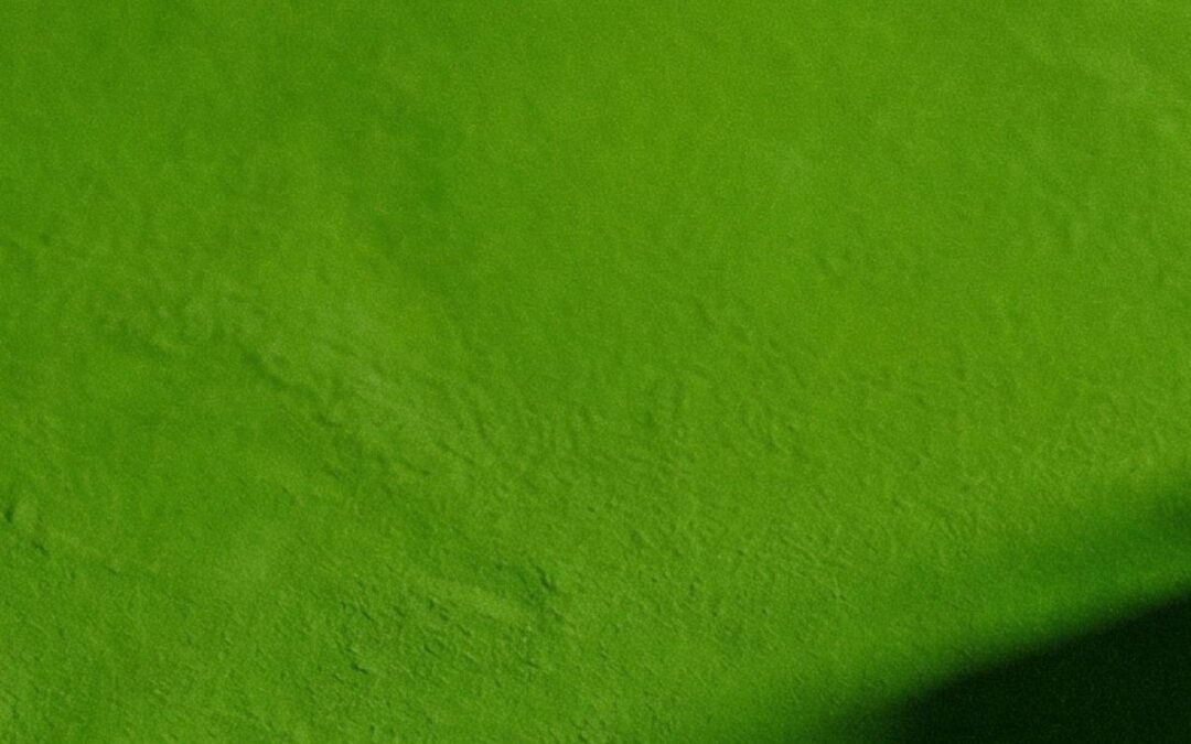 Warum regelmäßige Website-Checks bares Geld sparen – und Wachstum schaffen